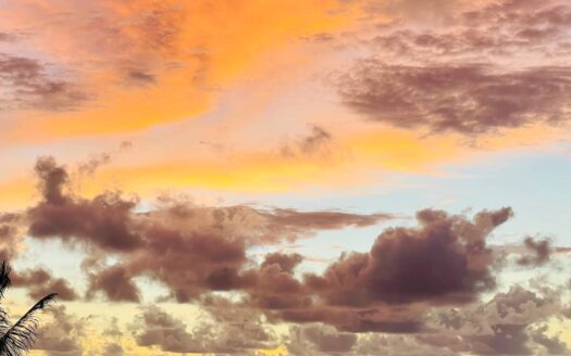 Appartamento in Vendita 1 Camera Freehold Vista Mare Karon Butterfly Karon Phuket